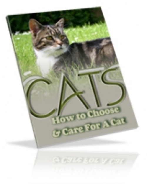 Product picture Cats How To Choose & Care For A Cat